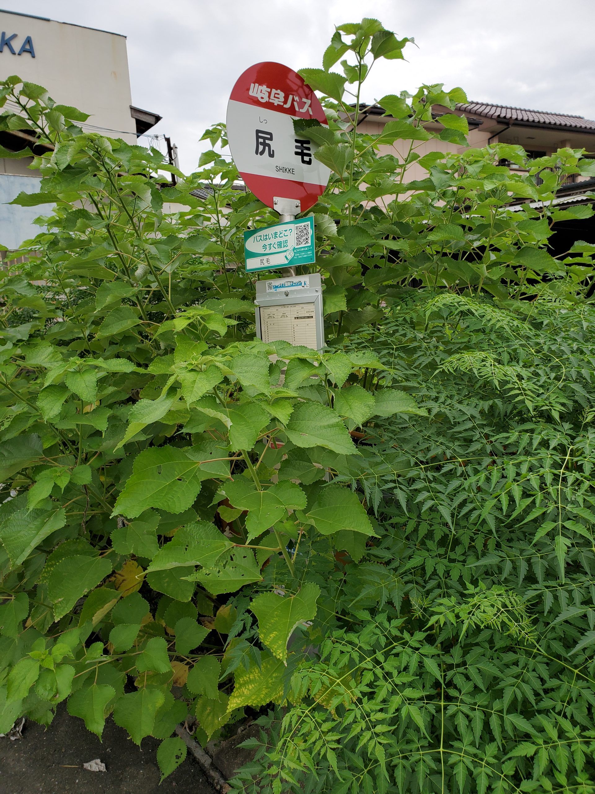 岐阜バス_尻毛(廃止)_バス停"